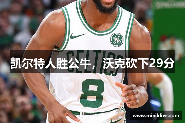 凯尔特人胜公牛，沃克砍下29分