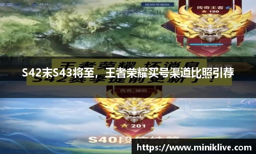 S42末S43将至，王者荣耀买号渠道比照引荐